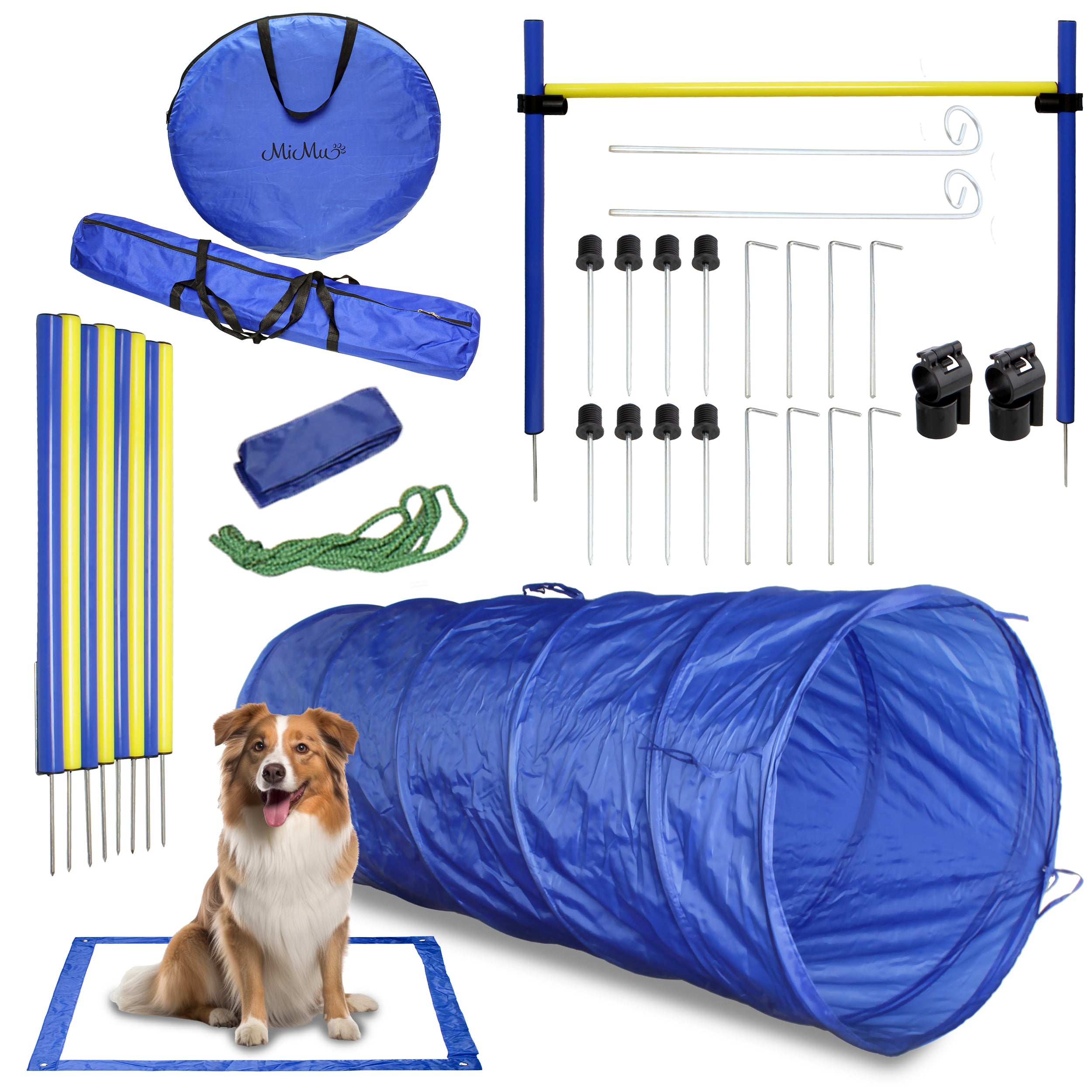 Dog Agility Equipment Obstacle Equipment 4pc Set Pet Shop